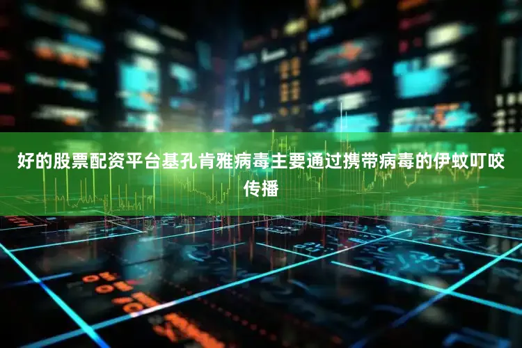 好的股票配资平台基孔肯雅病毒主要通过携带病毒的伊蚊叮咬传播