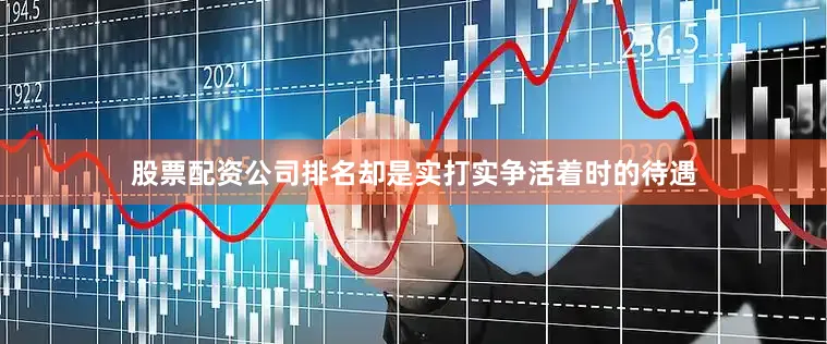 股票配资公司排名却是实打实争活着时的待遇